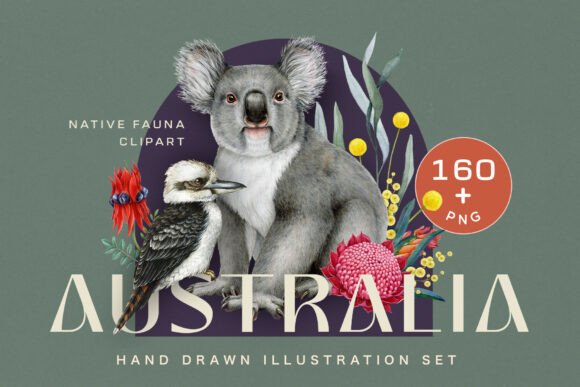 Download Australia Fauna Watercolor Clipart - Australia Collection