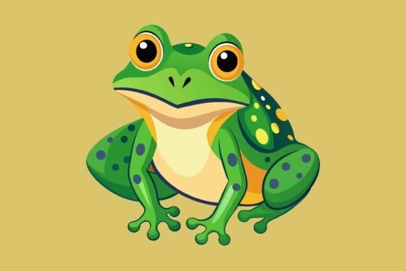 Download Beautiful Frog Vector,frog Illustrat - Beautiful Collection