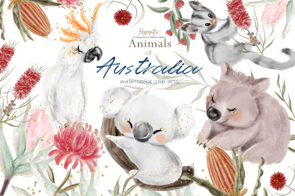 Download Australia Animals Illustration - Australia Collection